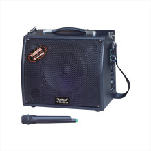 8" Karaoke Portable Speaker F31